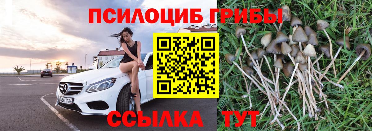 Галлюциногенные грибы мухоморы Ангарск